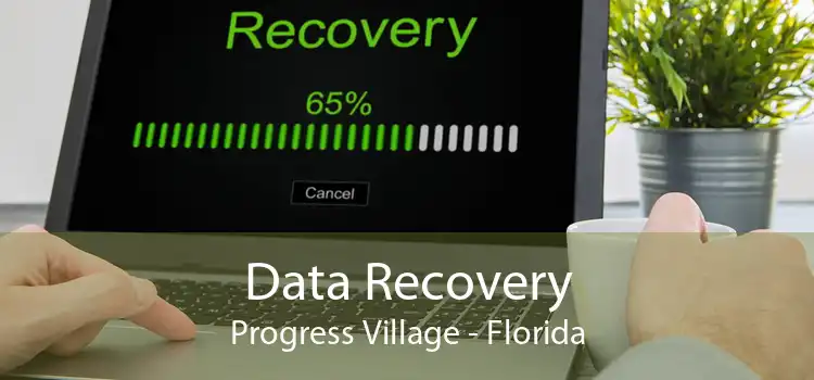 Data Recovery Progress Village - Florida