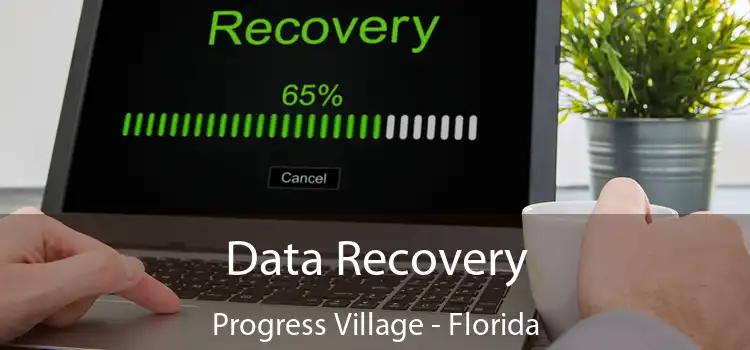 Data Recovery Progress Village - Florida