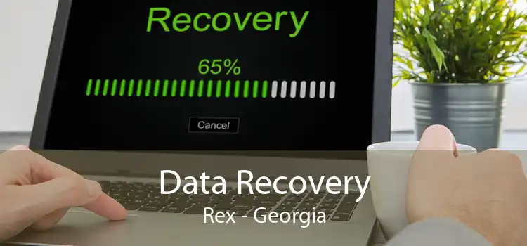 Data Recovery Rex - Georgia