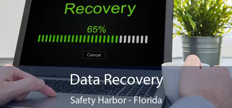 Data Recovery Safety Harbor - Florida