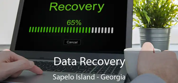 Data Recovery Sapelo Island - Georgia