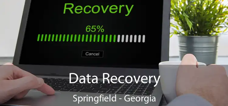 Data Recovery Springfield - Georgia