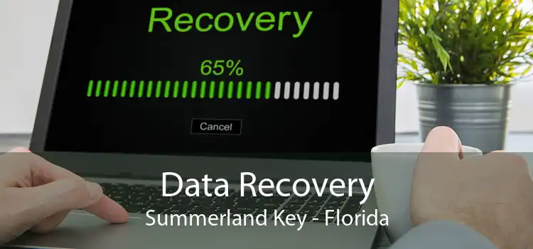 Data Recovery Summerland Key - Florida