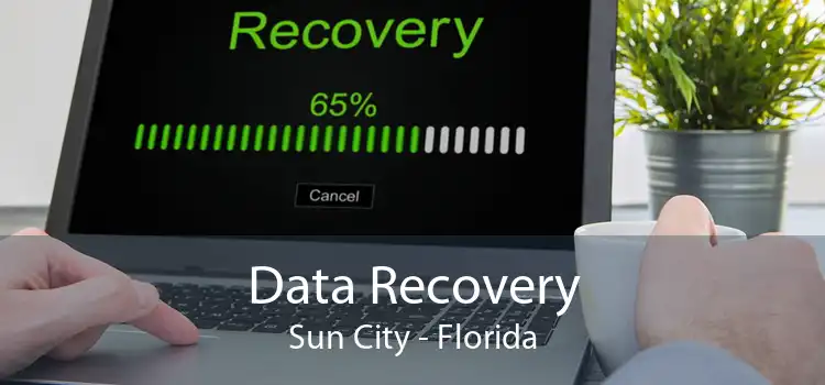 Data Recovery Sun City - Florida