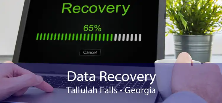 Data Recovery Tallulah Falls - Georgia