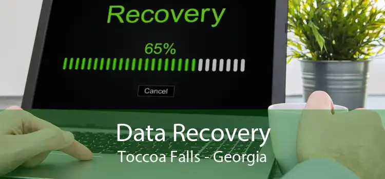 Data Recovery Toccoa Falls - Georgia