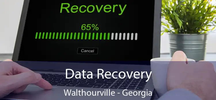 Data Recovery Walthourville - Georgia