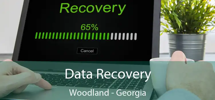 Data Recovery Woodland - Georgia