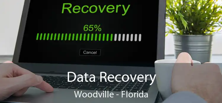 Data Recovery Woodville - Florida