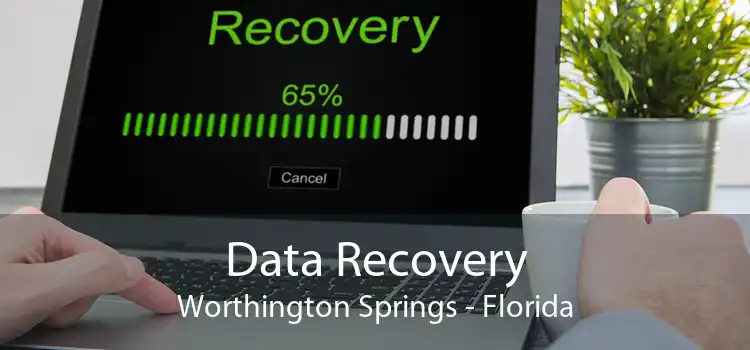 Data Recovery Worthington Springs - Florida