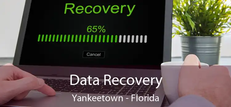 Data Recovery Yankeetown - Florida