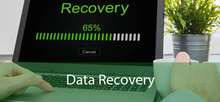 Data Recovery 