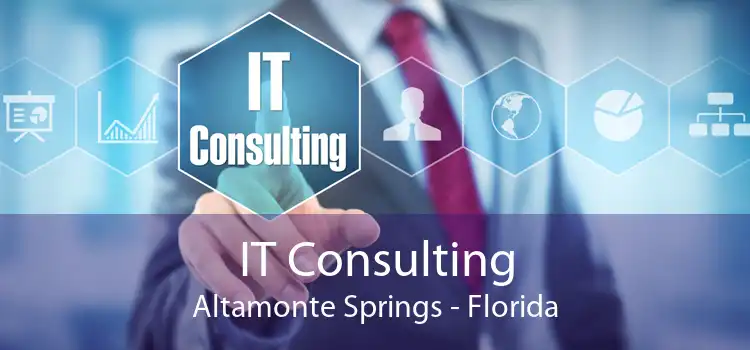 IT Consulting Altamonte Springs - Florida