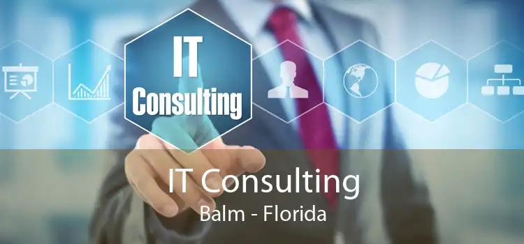 IT Consulting Balm - Florida