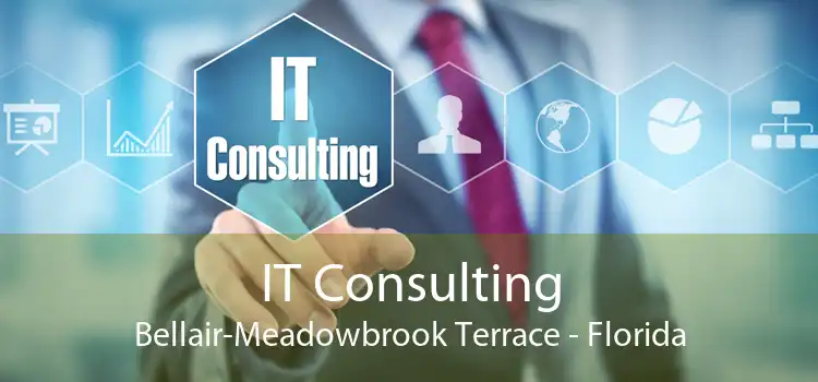 IT Consulting Bellair-Meadowbrook Terrace - Florida