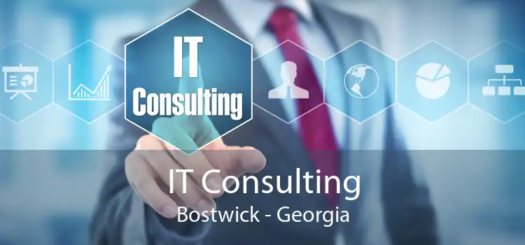 IT Consulting Bostwick - Georgia