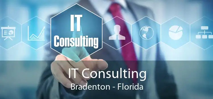IT Consulting Bradenton - Florida