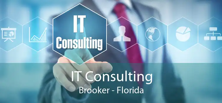 IT Consulting Brooker - Florida