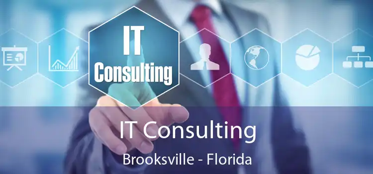 IT Consulting Brooksville - Florida