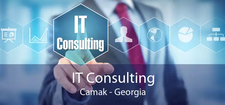 IT Consulting Camak - Georgia