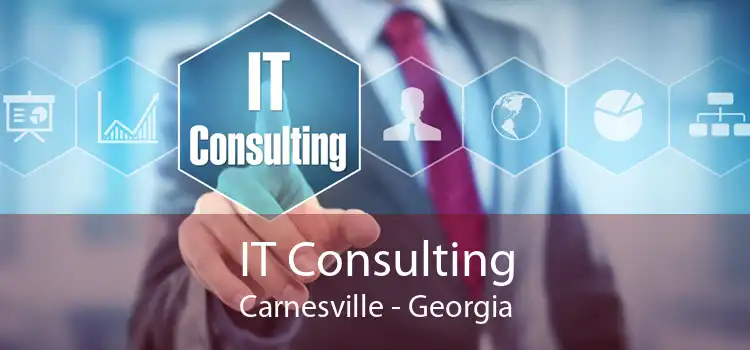 IT Consulting Carnesville - Georgia