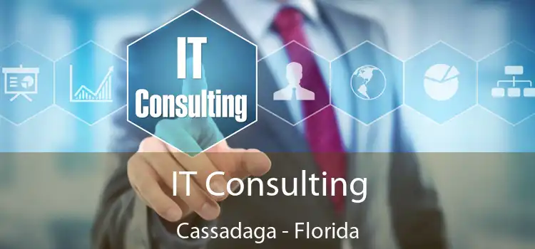 IT Consulting Cassadaga - Florida