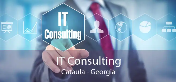 IT Consulting Cataula - Georgia