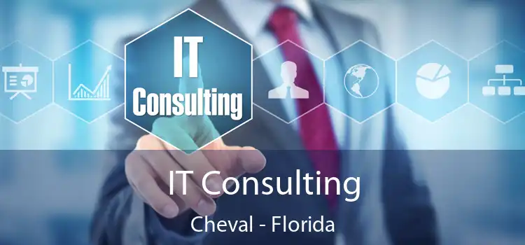 IT Consulting Cheval - Florida