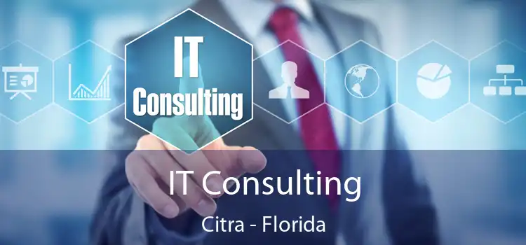 IT Consulting Citra - Florida