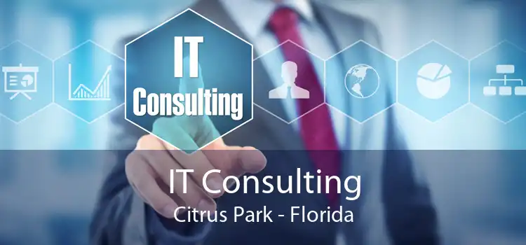 IT Consulting Citrus Park - Florida