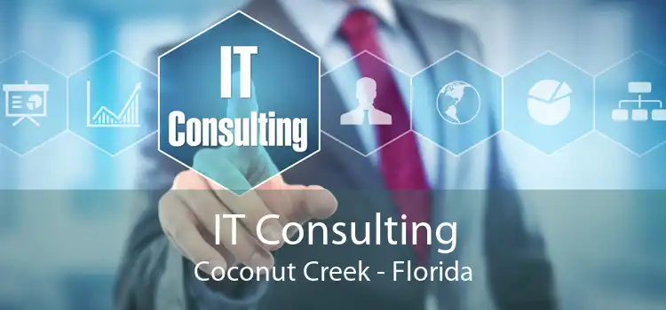 IT Consulting Coconut Creek - Florida