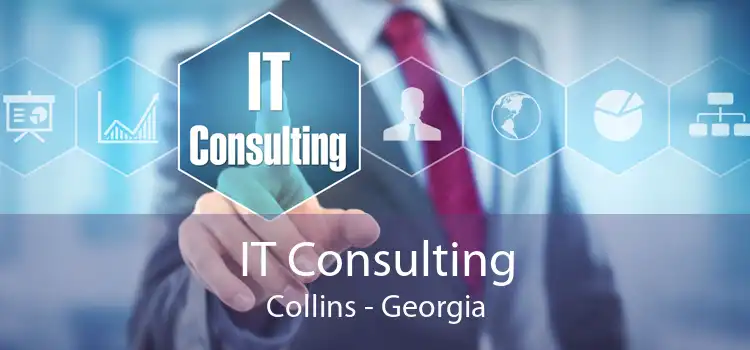 IT Consulting Collins - Georgia