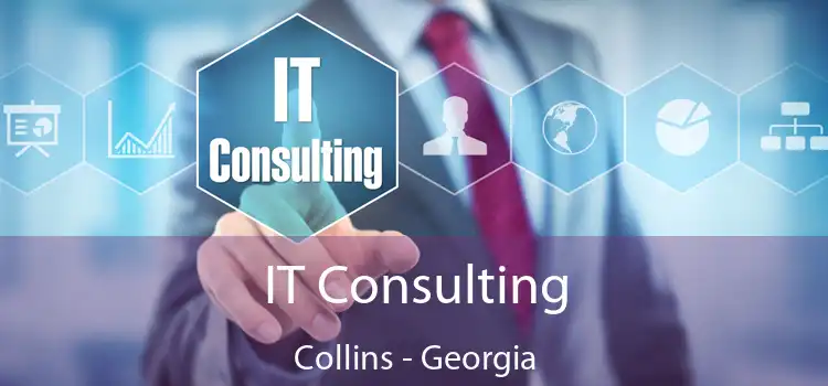 IT Consulting Collins - Georgia