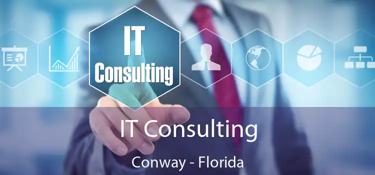 IT Consulting Conway - Florida