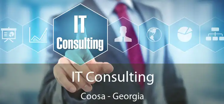 IT Consulting Coosa - Georgia