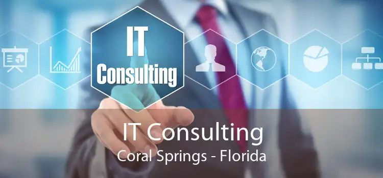 IT Consulting Coral Springs - Florida