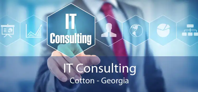 IT Consulting Cotton - Georgia