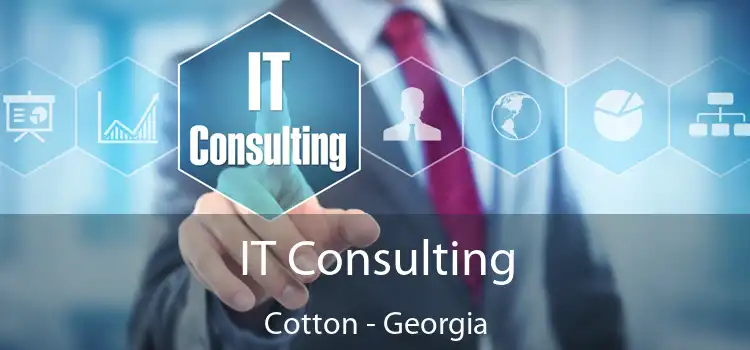 IT Consulting Cotton - Georgia