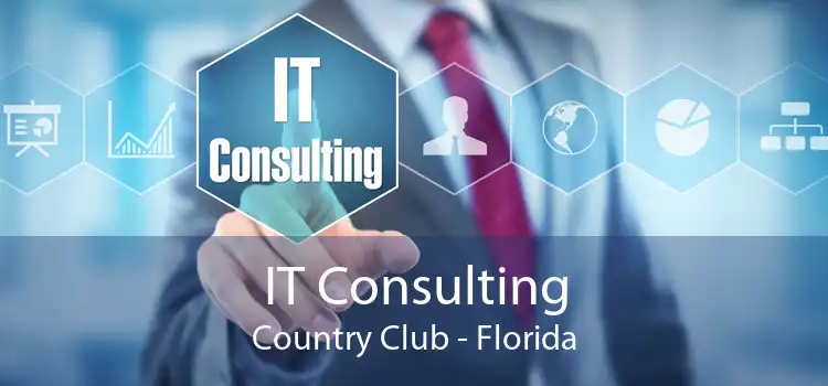 IT Consulting Country Club - Florida