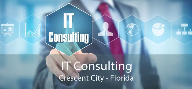 IT Consulting Crescent City - Florida