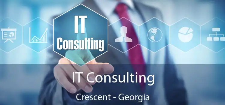 IT Consulting Crescent - Georgia