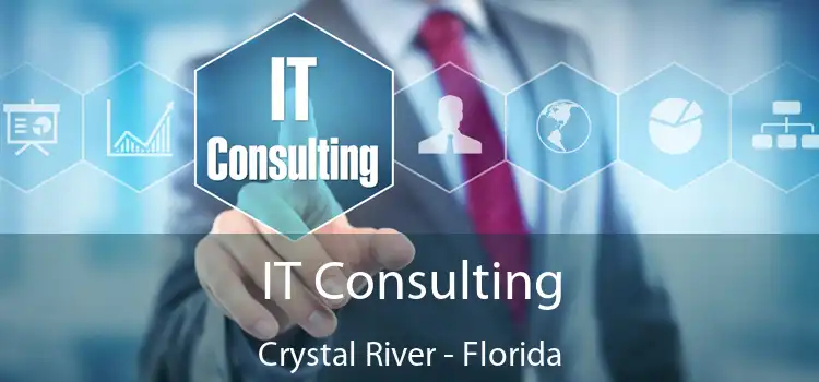 IT Consulting Crystal River - Florida