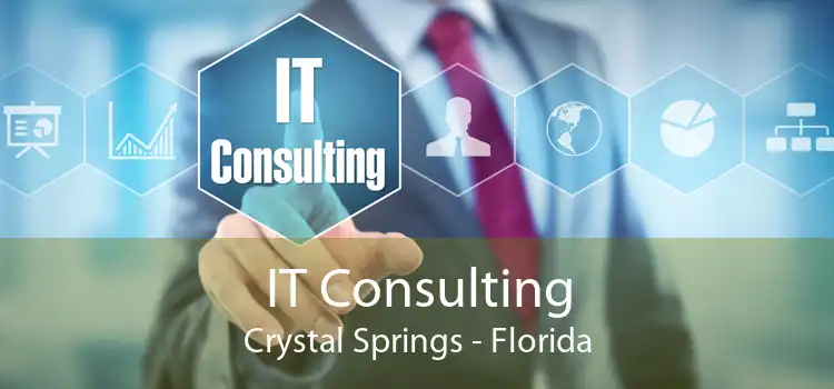 IT Consulting Crystal Springs - Florida