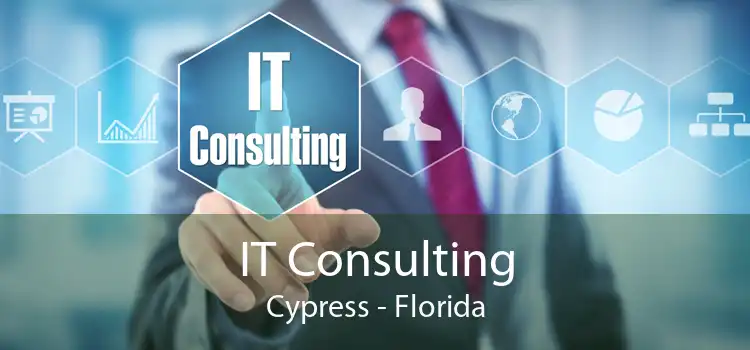 IT Consulting Cypress - Florida