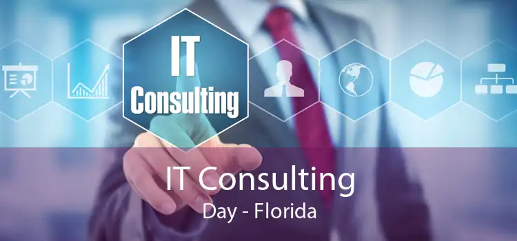 IT Consulting Day - Florida
