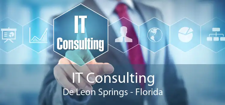 IT Consulting De Leon Springs - Florida