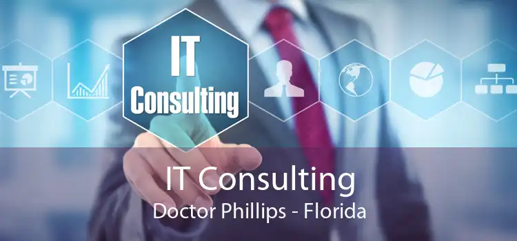 IT Consulting Doctor Phillips - Florida