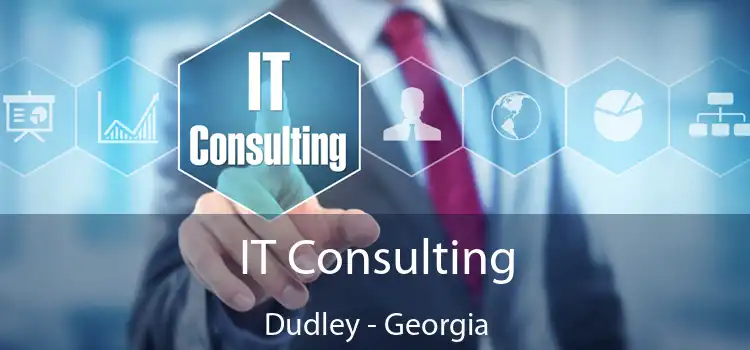 IT Consulting Dudley - Georgia