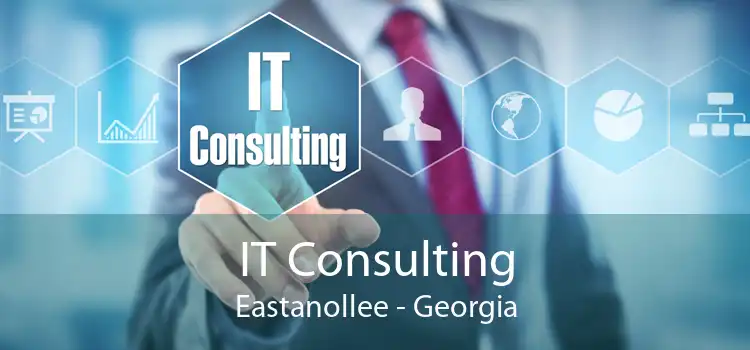 IT Consulting Eastanollee - Georgia