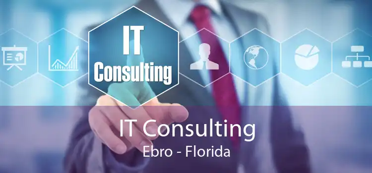IT Consulting Ebro - Florida